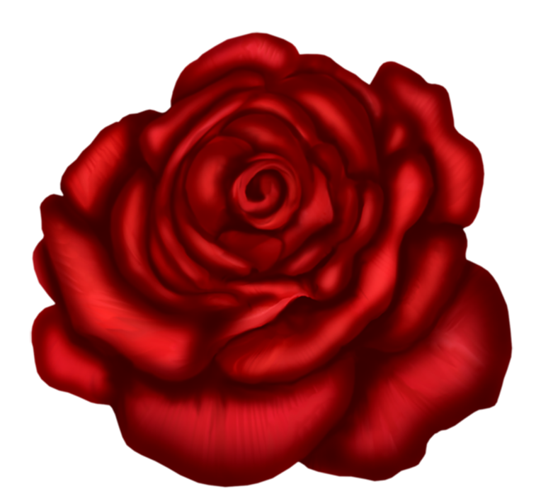 Red Rose Flower PNG Photos Hd