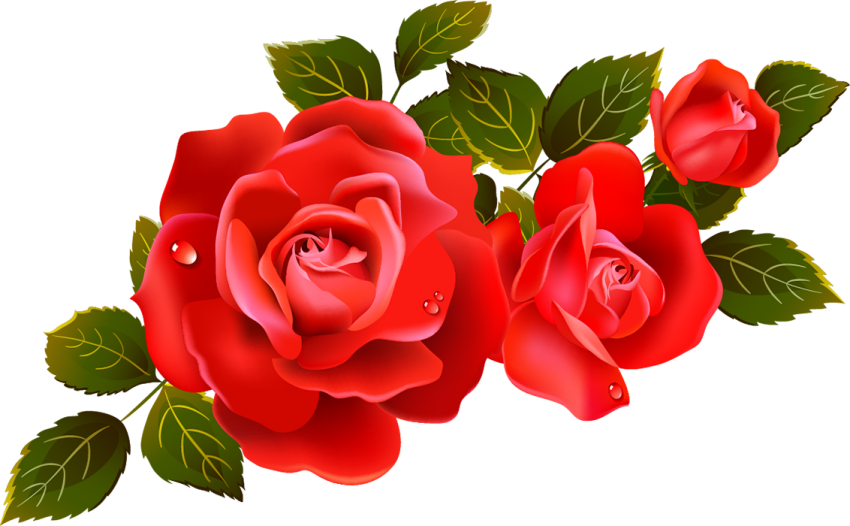 Red Rose Flower Tree HD PNG New