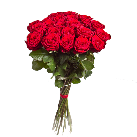 Red Roses Bouquet PNG Images