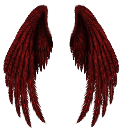 Red Wings PNG image Full HD