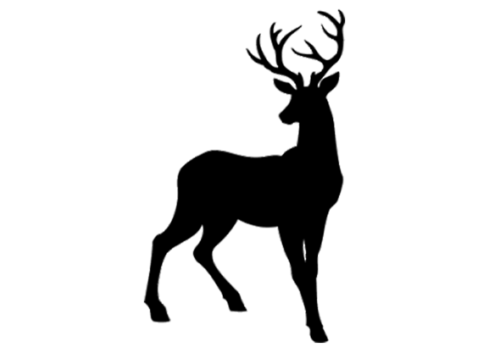 Reindeer PNG Download transparent Background