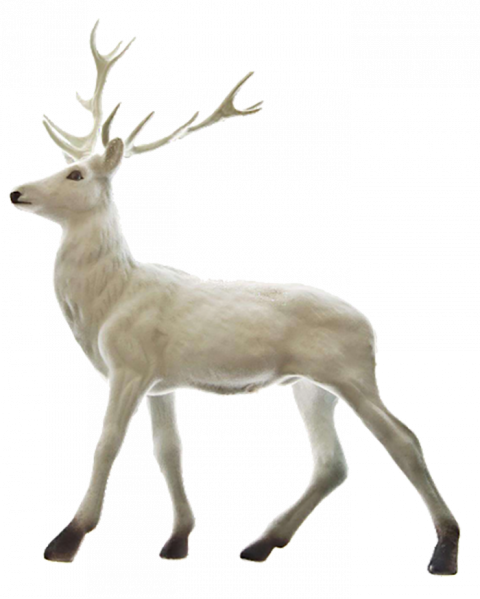 Reindeer PNG Download transparent Background