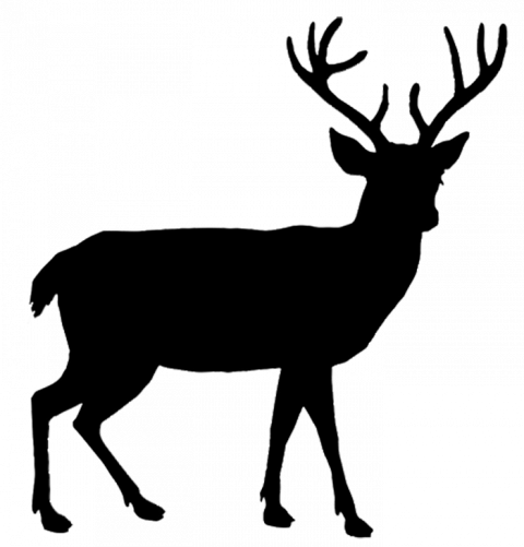 Reindeer PNG Image Full HD Download