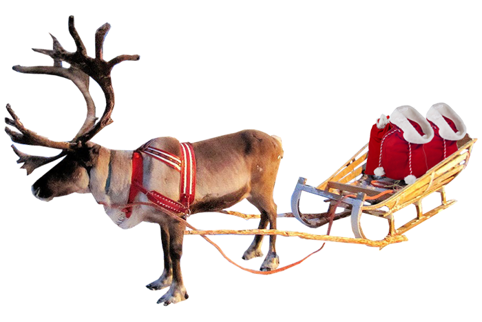 Reindeer PNG Images HD Download Free
