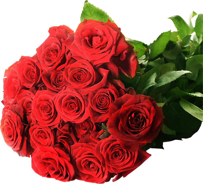 Rose Bouquet Flowers PNG Download