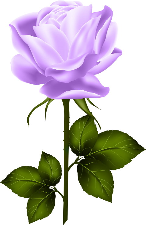 Rose Flower Png Images With Leaf