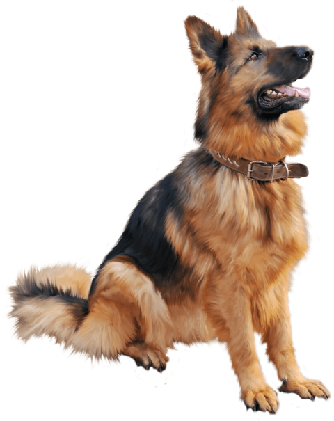 Security Dog Transparent PNG