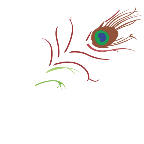 Single Peacock Feather Transparent File