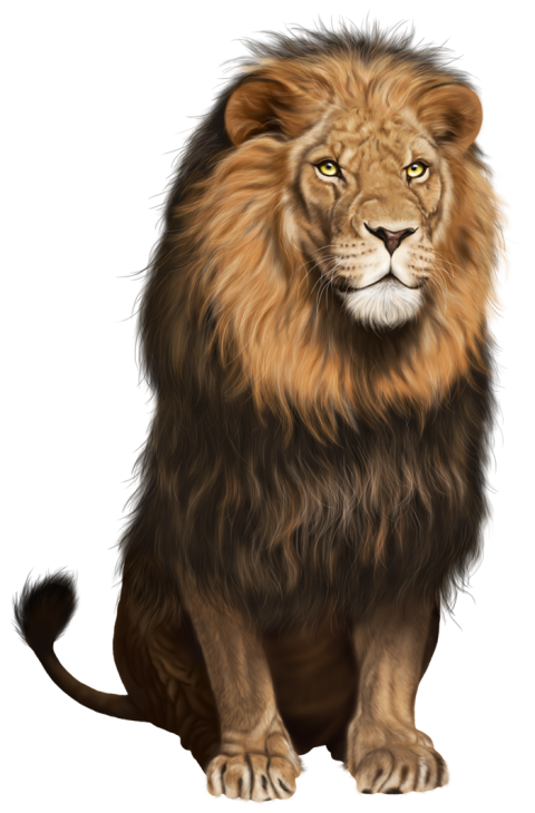 Sitting Lion Transparent Png Images