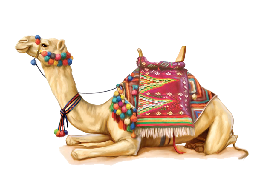 Sitting Vector Camel PNG Images Download