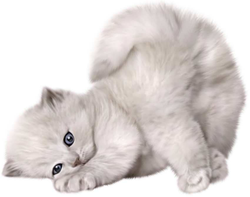 Sleep Gray Cat PNG Image Hd