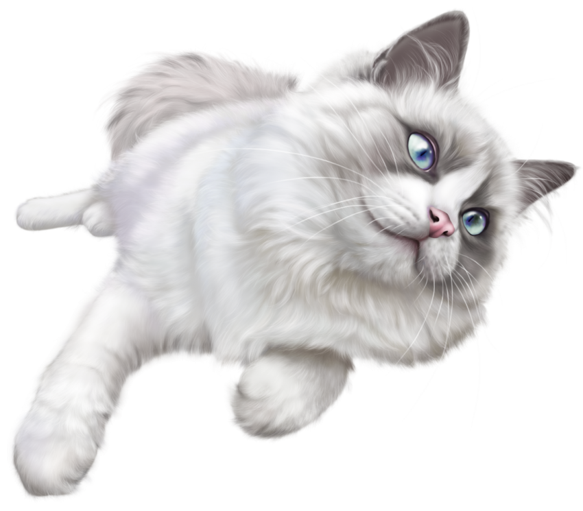 Sleeping Cat Png Clipart Download