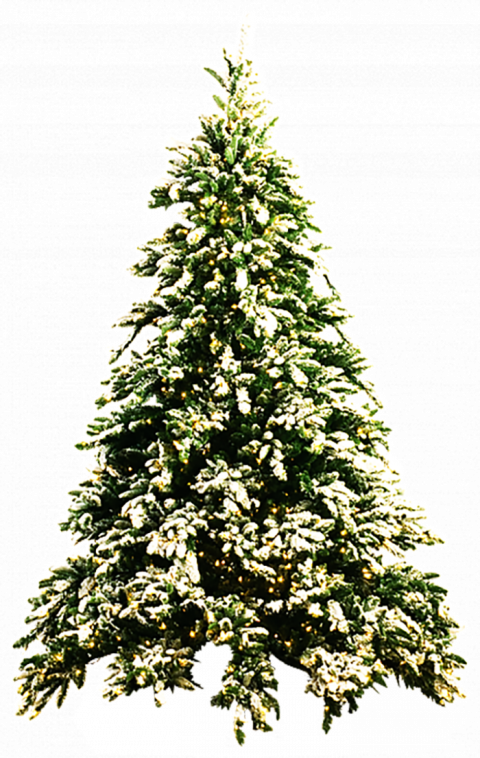 Snow Christmas Tree PNG Images Download Free