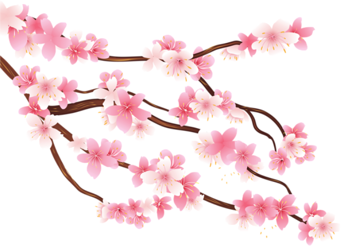Spring Flower PNG image Full HD