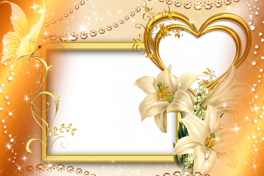 Transparant Love Rose Flower Frame