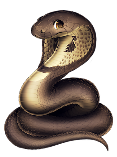 Vector Cobra Snake PNG Download HD