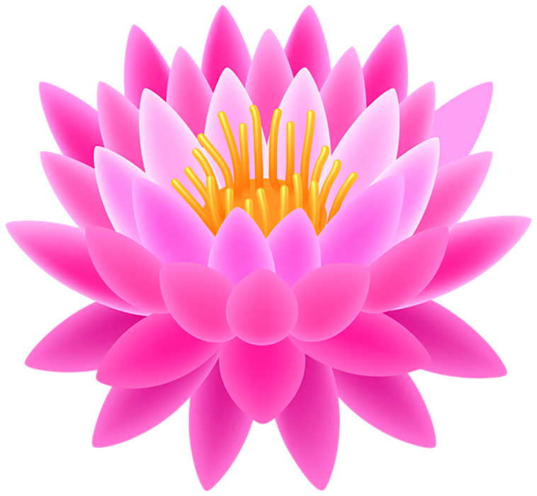 Vector Lotus Flower PNG Download