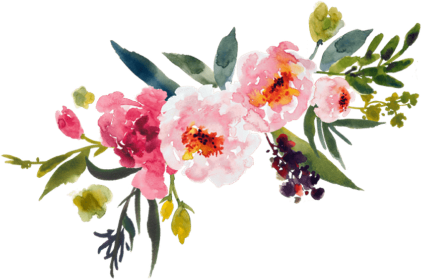 Watercolor Flower PNG clipart HD