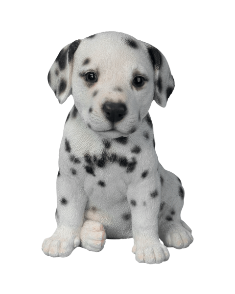 White Black Small Puppy Dog PNG Images
