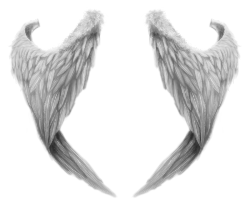 White Wings Transparent PNG Image