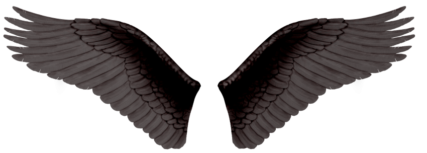 Wings PNG HD Quality For Photo Editing