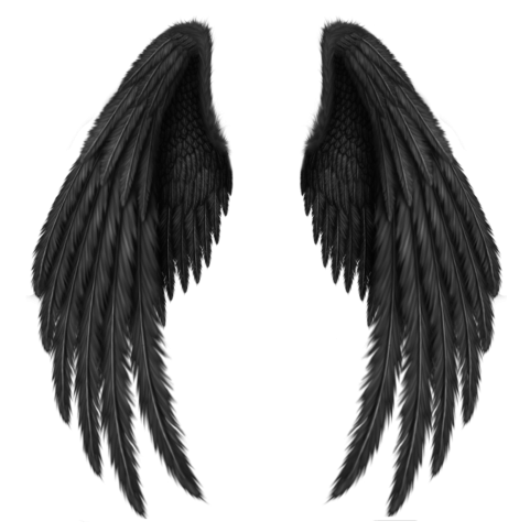Wings Transparent Download Free PNG