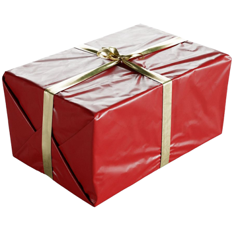 Wrapped Christmas Gift PNG Download HD