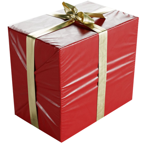 Wrapped Merry Christmas Gift PNG Image
