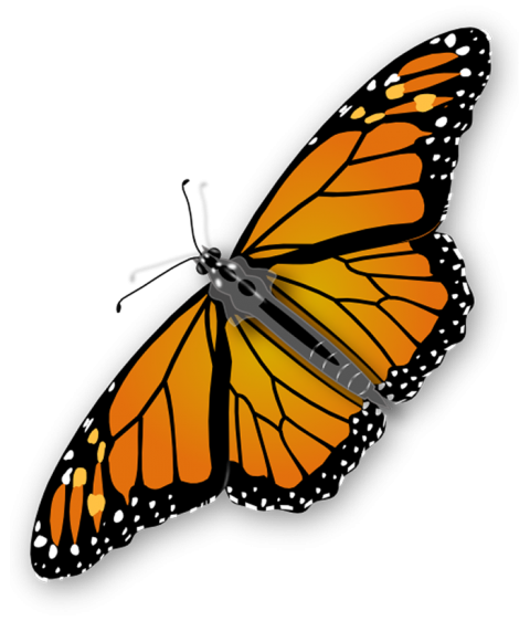 Yellow Butterfly HD PNG Images Free