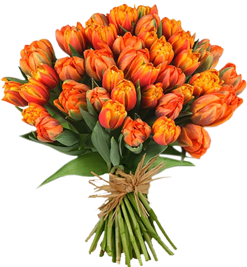 Yellow Roses Flowers Bouquet Png