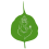 Eco friendly lord ganesha Chaturthi with leaves Design