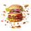 Flying Burger transparent background Png Stock