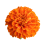 Marigold Flowers Png Transparent Image