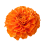 Transparent Marigold Flowers Image Png