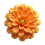 Yellow 3d flower Png hd transparent background