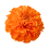 Yellow Marigold Flowers Image Png HD