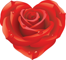 500  Best Pink  Rose Flower PNG