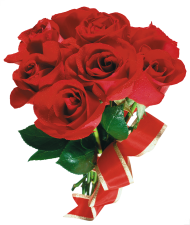 500 Bouquet Red Rose Flower PNG Hd
