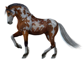 500 Horse Transparent PNG Images