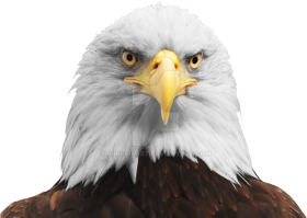 American Eagle PNG Clipart Full HD