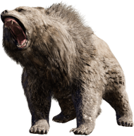 Angry Bear PNG Full HD Download