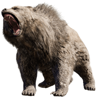 Angry Big Size Bear PNG Images Download