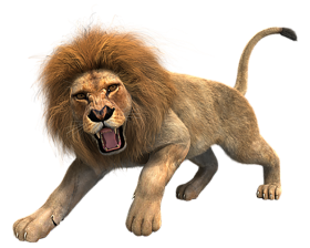 Angry Lion Png Images Download