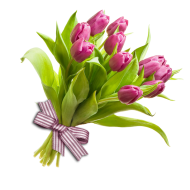 Baixar Bouquet Flowers PNG Images