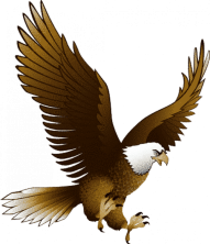 Bald Eagle Transparent Images HD