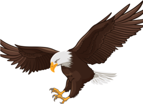 Bald Eagle Transparent PNG Full HD