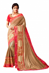 Beautiful Girl PNG in Saree Free Download