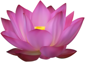 Beautiful Lotus Flower PNG Download   963x700