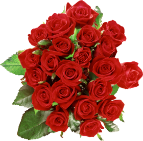 Beautiful Rose Bouquet Flower PNG