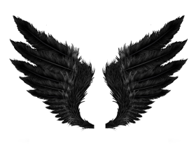 Black Wings PNG Transparent Images